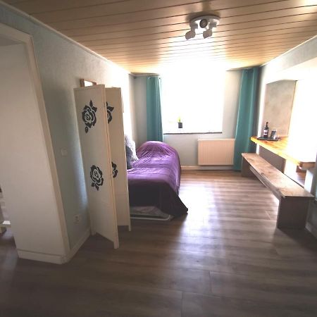 Mooi Ruim Appartement In Antieke Stadsboerderij Schönecken Екстериор снимка