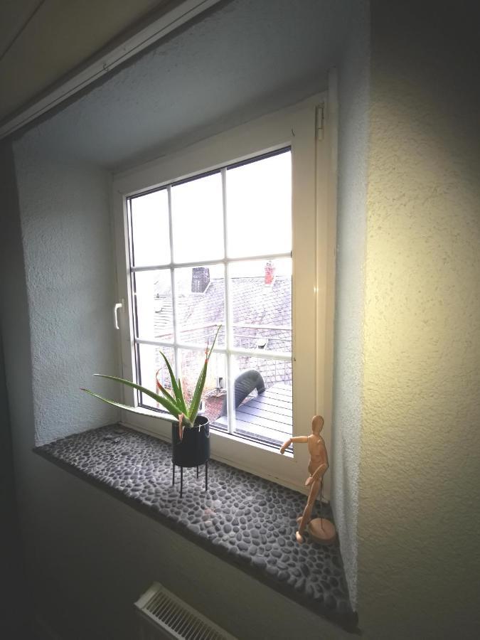 Mooi Ruim Appartement In Antieke Stadsboerderij Schönecken Екстериор снимка