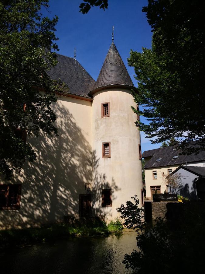 Mooi Ruim Appartement In Antieke Stadsboerderij Schönecken Екстериор снимка